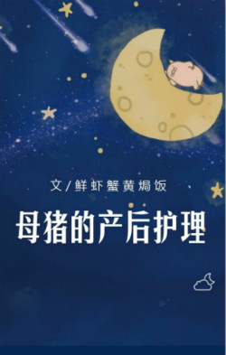 母猪的产后护理txt